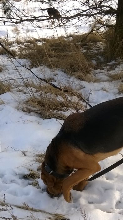 WP_20170211_12_02_19_Pro.jpg