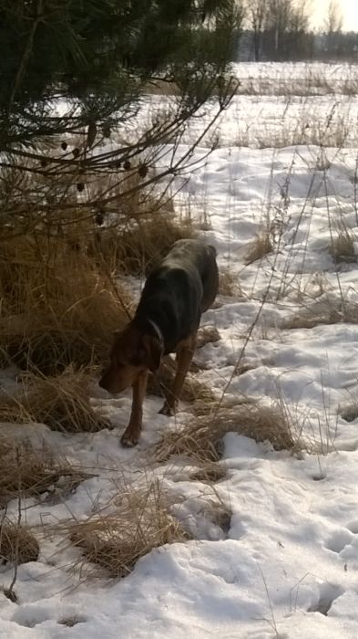 WP_20170211_12_02_26_Pro.jpg
