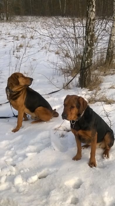 WP_20170211_12_05_09_Pro.jpg