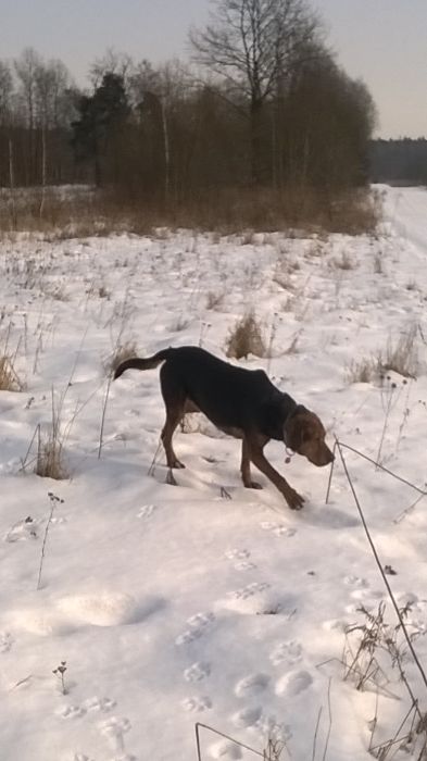 WP_20170211_12_00_32_Pro.jpg