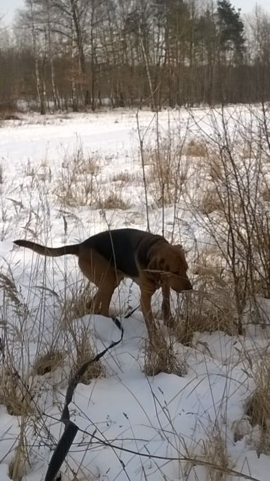 WP_20170211_12_01_42_Pro.jpg