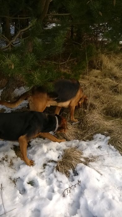 WP_20170211_12_06_57_Pro.jpg