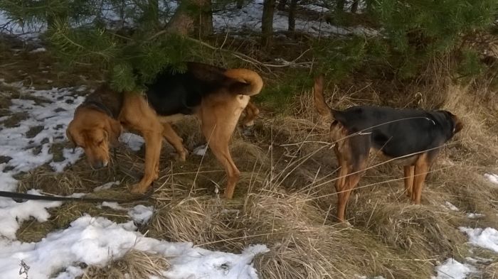 WP_20170211_12_07_04_Pro.jpg
