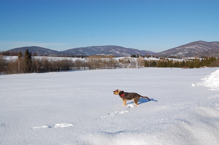 DSC_0277.JPG