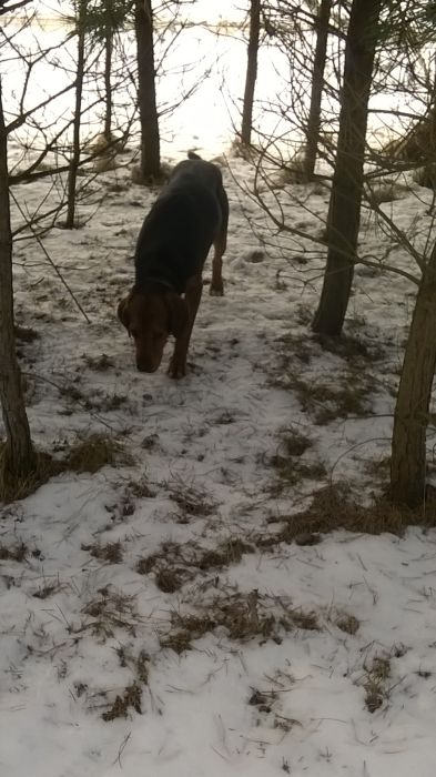 WP_20170211_12_24_20_Pro.jpg