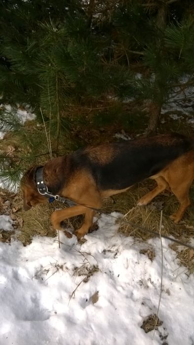 WP_20170211_12_14_32_Pro.jpg