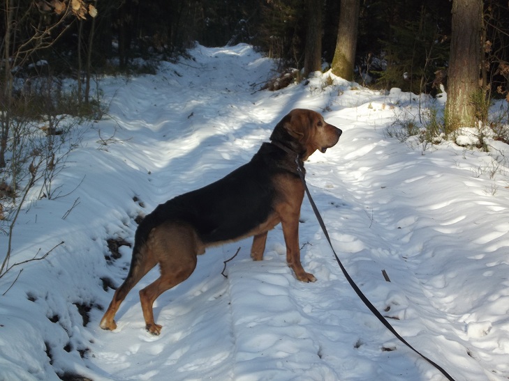 DSCF6818.JPG