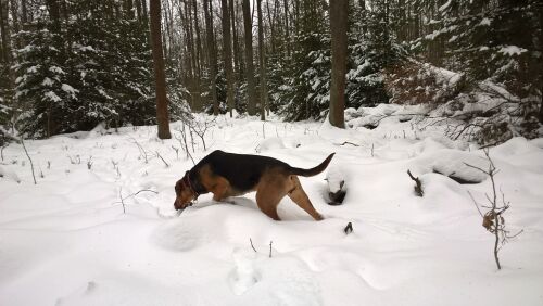 WP_20170212_10_34_33_Pro.jpg