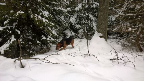 WP_20170212_10_34_27_Pro.jpg