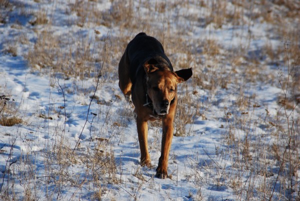 DSC_8724.JPG