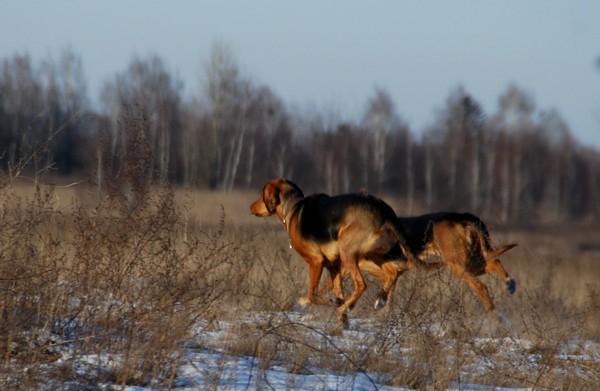 DSC_8727.JPG