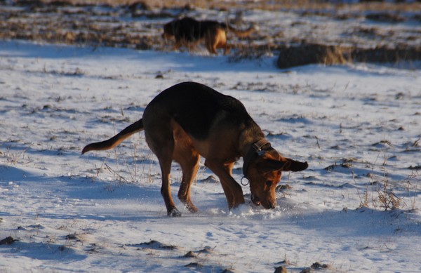 DSC_8771.JPG
