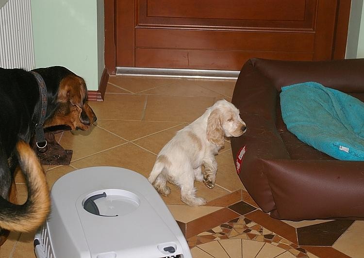 IMGP3523.jpg