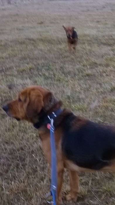 WP_20170223_08_06_09_Pro.jpg
