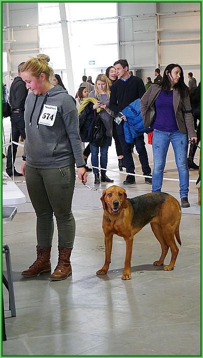 WK L-N 22 574 WAĆPANNA-05.jpg