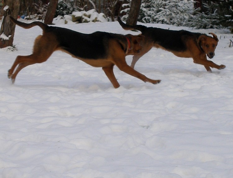 .. i znow