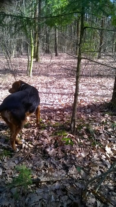 WP_20170304_12_07_55_Pro.jpg