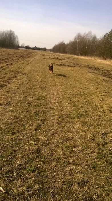 WP_20170304_12_26_22_Pro.jpg