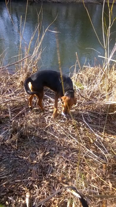 WP_20170305_15_27_19_Pro.jpg