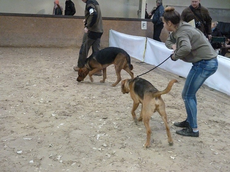P1050597.JPG