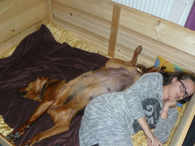 tu zdecydowanie mniej dostojnie... ale w pełnym relaxie...