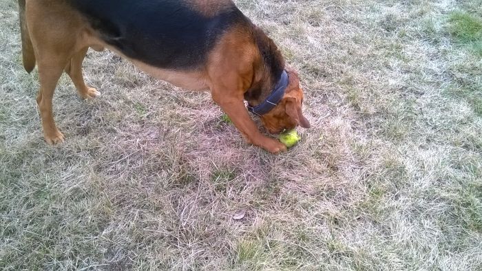 WP_20170312_12_34_06_Pro.jpg