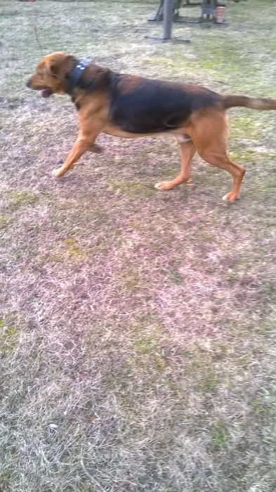 WP_20170312_12_35_02_Pro.jpg