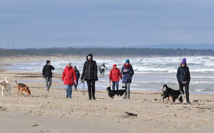Zdjęcia jedynego  wytrwałego dzisiaj fotografika Adama
