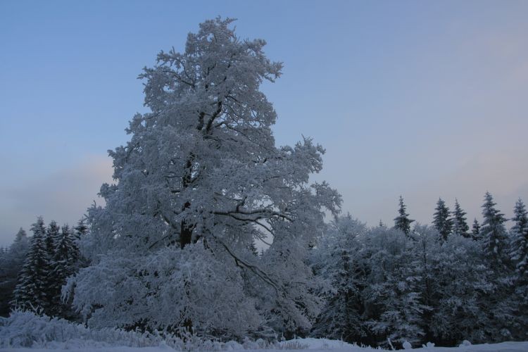 grudzień2009 399.jpg