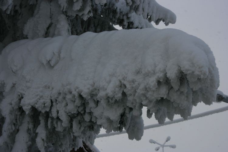 grudzień2009 477.jpg