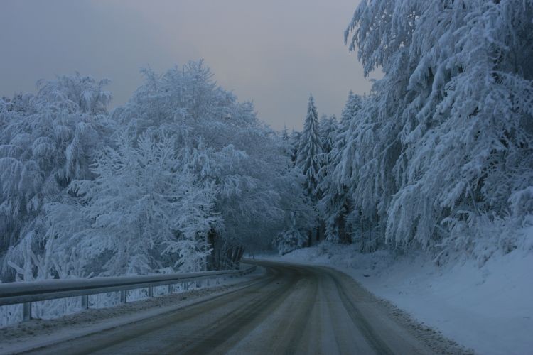 grudzień2009 392.jpg