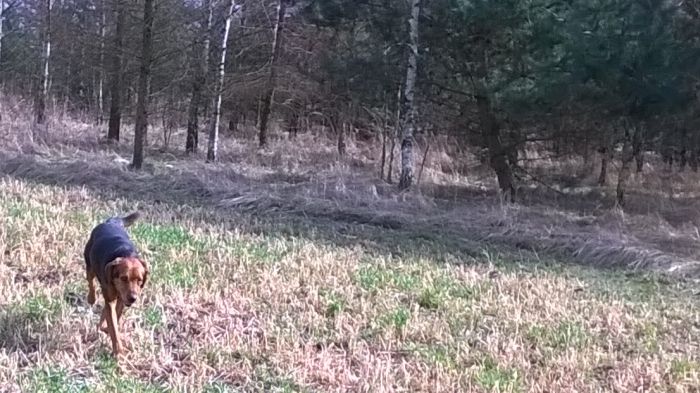 WP_20170325_13_53_17_Pro.jpg