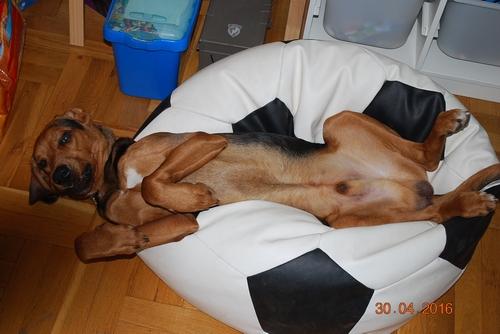 DSC_0003.JPG