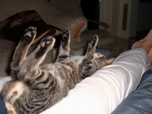 DSCF1236.JPG