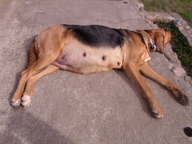 SAM_5487.JPG