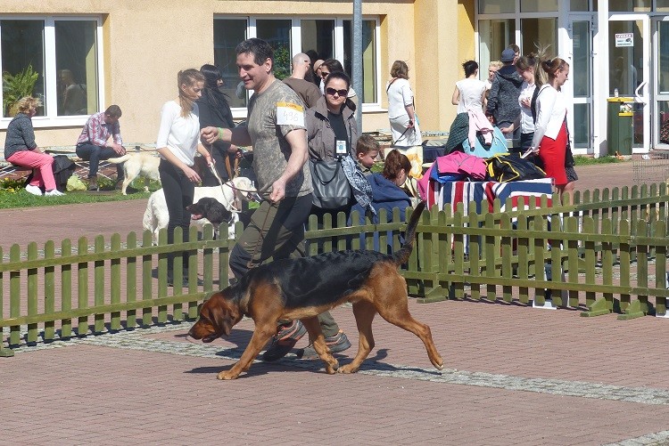P1070459zm.JPG