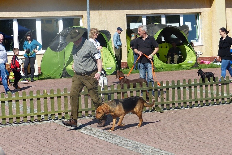 Czujna