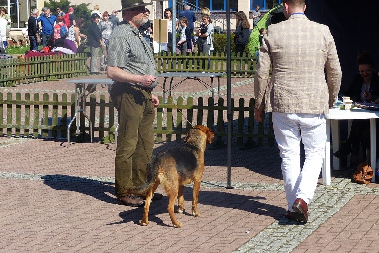 P1070478zm.JPG