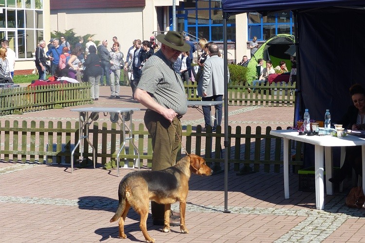 P1070483zm.JPG