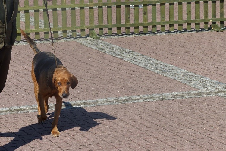 P1070504zm.JPG