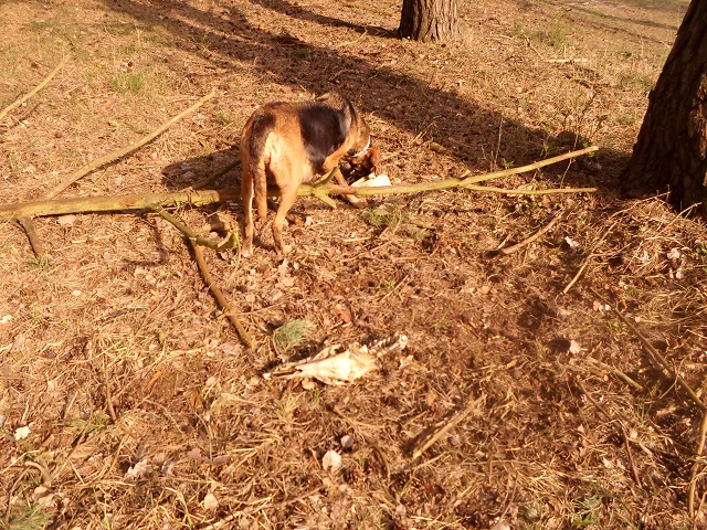 Obowiązkowe szukanie pamiątek.