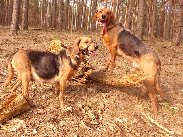 Pozowanko.