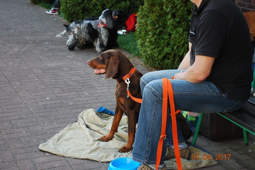 DSC_0040.JPG