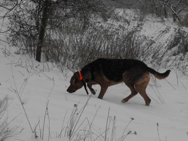 DSCF5005.JPG