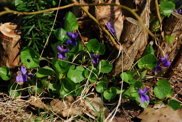 DSC_9425.JPG