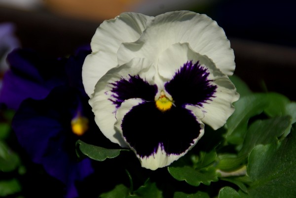 DSC_9429.JPG
