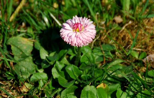 DSC_9431.JPG