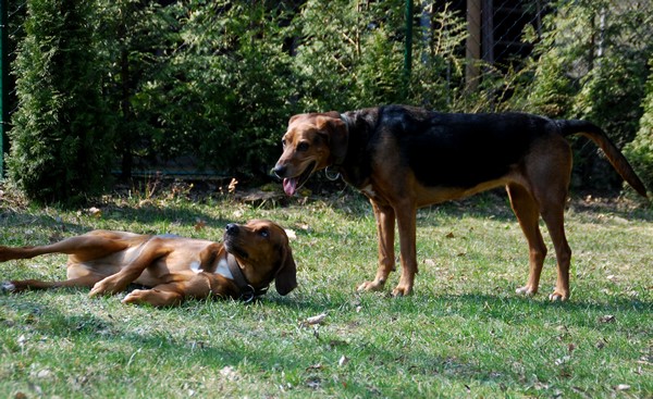 DSC_9420.JPG