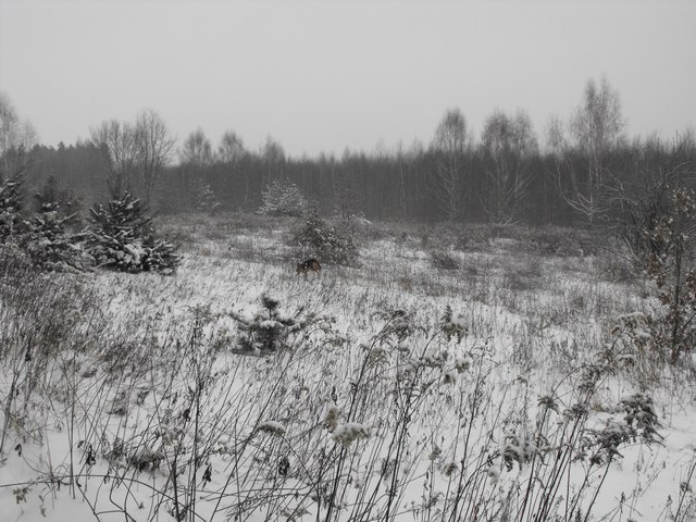 DSCF5011.JPG