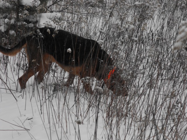 DSCF5013.JPG